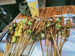 -晓靖轩烧烤(沙河风情店)