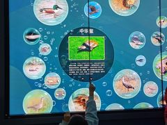 -中国湿地博物馆