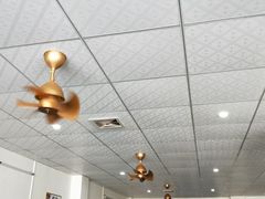 -15年老字号鑫鑫猪肚鸡·椰子鸡海南火锅(兴隆华侨农场店)