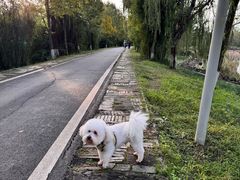 -白鹭湾湿地公园