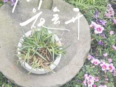 -重庆彩云湖湿地公园