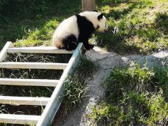 -瑞博尔花园酒店(太周创新产业园店)