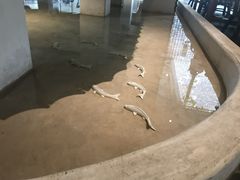 -瓦库茶馆17号(海汇港店)