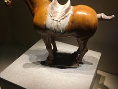 -宁夏博物馆