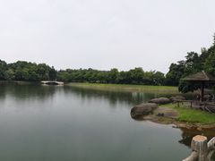 -象山森林公园