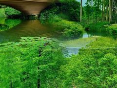 -云溪植物园