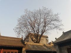 -万寿八仙宫