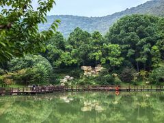 -宝岩生态观光园