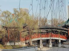 -迎泽公园