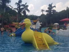 -重庆海昌加勒比海水世界