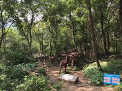 -木兰云雾山