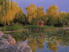 -太阳宫公园