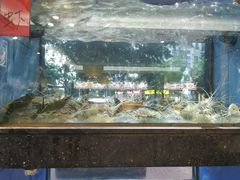 -肥仔顺德菜(龙悦居店)