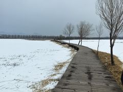 -野鸭湖国家湿地公园