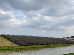 -迪茵湖田家舍生态农场