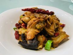 -陇菜和盛祥(金轮宾馆店)
