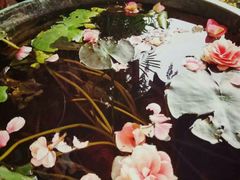 -莫奈花园法式蛋糕
