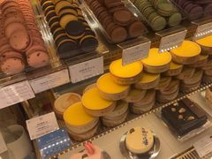 -PAUL LAFAYET 法式甜品(国金中心商场店)