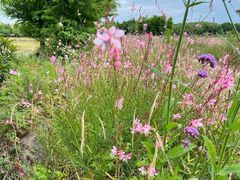 -祝甸砖窑文化馆