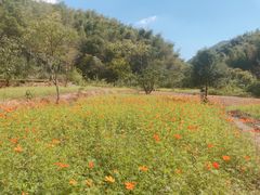 -宁波浙东大竹海景区