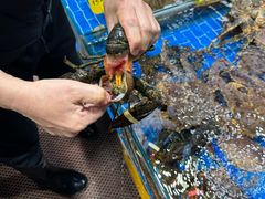 -船奇蒸汽海鲜·闽菜(八市海鲜总店)