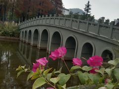 -四海公园(南山区)