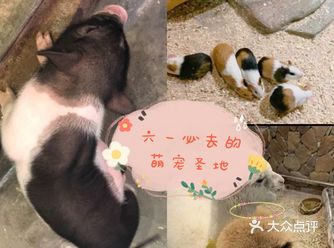 超萌宝宝和超萌萌宠的六一故事团购更划算哦！