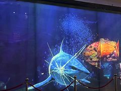 -海合安成都极地海洋公园