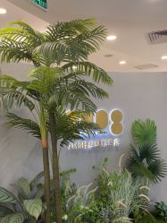 点击看大图 -八佰伴8008星级形象店