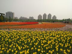 -廊坊文化艺术中心