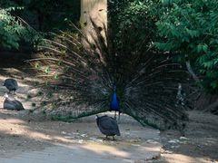 -石家庄市动物园