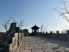 -广富林郊野公园
