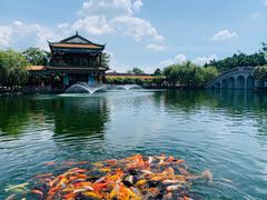 -宝墨园景区