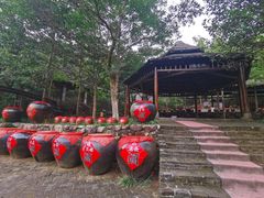 -姑婆山旅游区