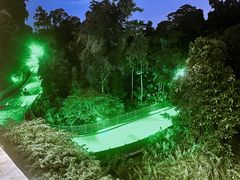 -圣淘沙天际线斜坡滑车