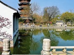 -红梅公园