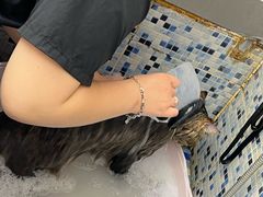 -FAELING PETS美天灵宠物(富力广场店)