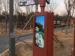 -东郊湿地公园