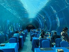 -海棠湾洲际-涛·海底餐厅·美人鱼·自助餐·海底隧道