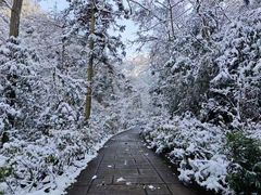 -西岭雪山大飞水景区