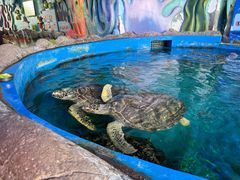 -横店影视城梦幻谷园区