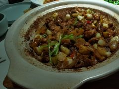 -院8里·小聚园老川菜(九眼桥店)