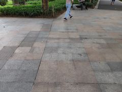 -晓港公园