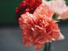 餐具摆设-EATALIA意塔利意式餐厅(鼓楼店)