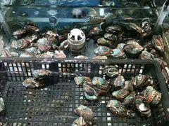 -海滨假日渔家海鲜