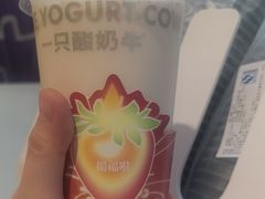 -一只酸奶牛(时代天街A馆店)