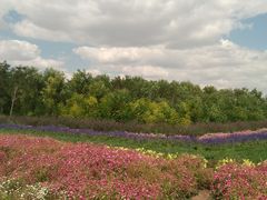 -赛汗塔拉风情园