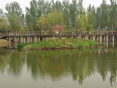 -东郊湿地公园