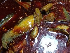 -金海椒罐罐鲢鱼(东方桂苑店)