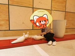 -北京首都机场希尔顿酒店